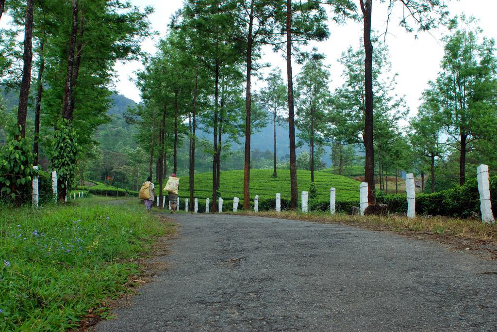 Deep Woods Resort Munnar Zewnętrze zdjęcie