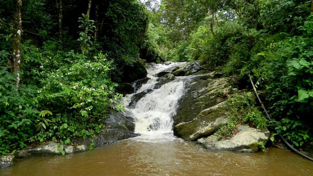 Deep Woods Resort Munnar Zewnętrze zdjęcie