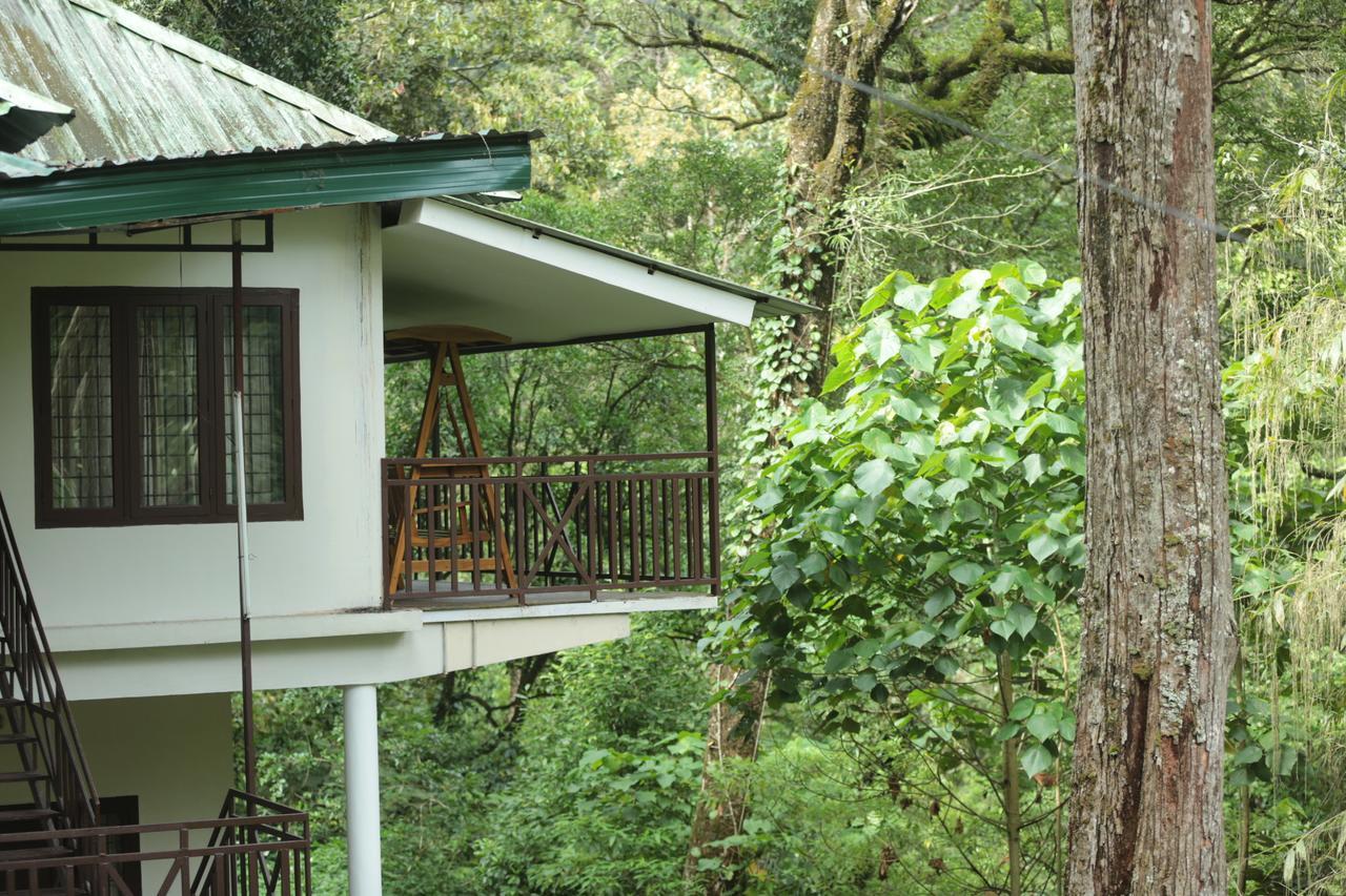 Deep Woods Resort Munnar Zewnętrze zdjęcie