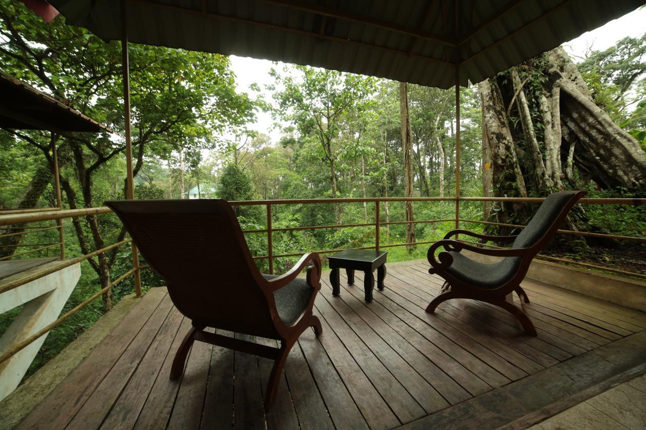 Deep Woods Resort Munnar Zewnętrze zdjęcie