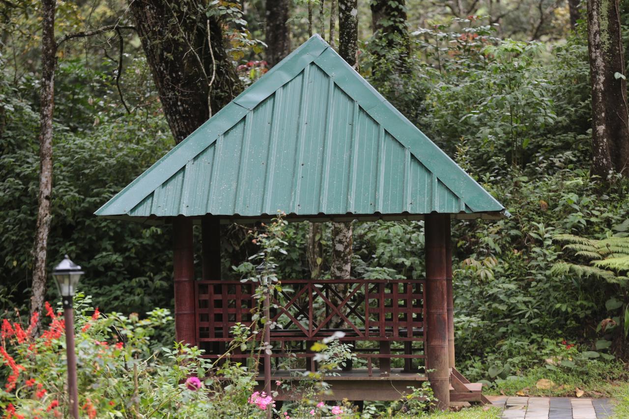 Deep Woods Resort Munnar Zewnętrze zdjęcie